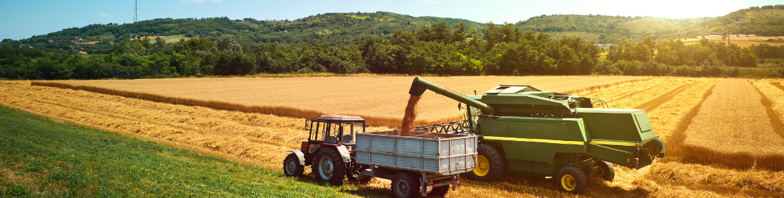 Campo di grano con trattori