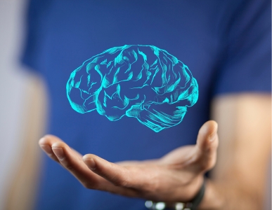 Il cervello decide in mezzo secondo